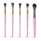 20pc Brush Set