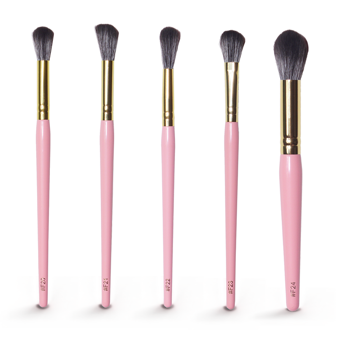 20pc Brush Set