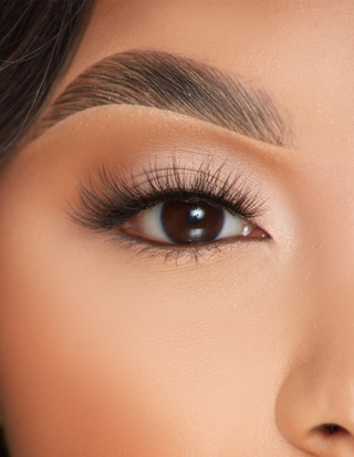 P.Louise Beaming Bliss Wispy Lashes