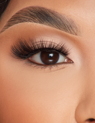 P. Louise Feather Flair Lashes